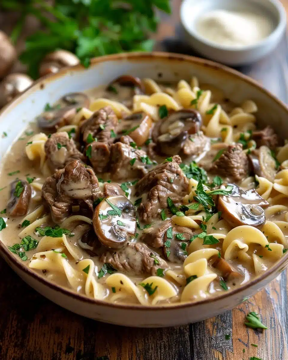 Beef Stroganoff Soup