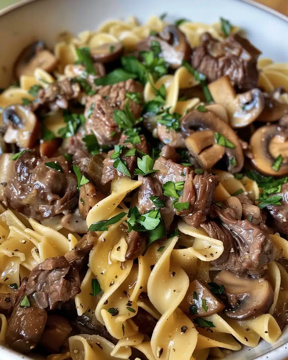 Bowl of delicious Beef Stroganoff Soup with beef, noodles, and creamy sauce